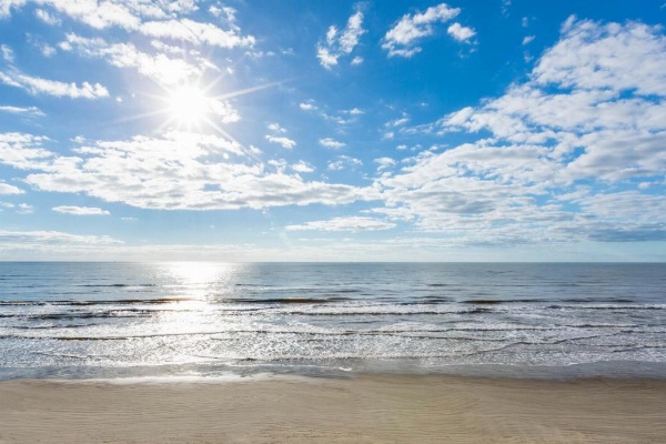 The Victorian image 16